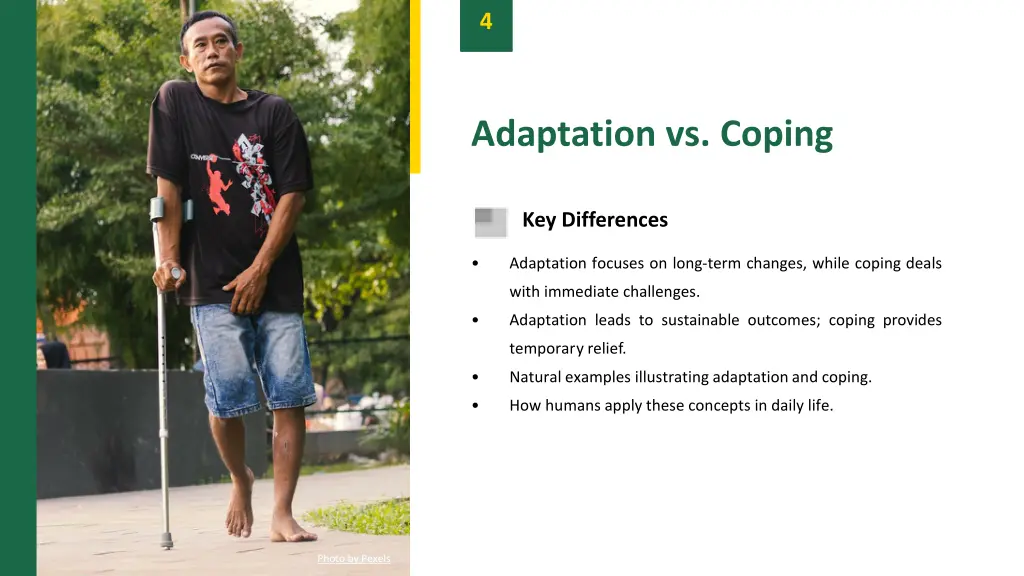 slide6