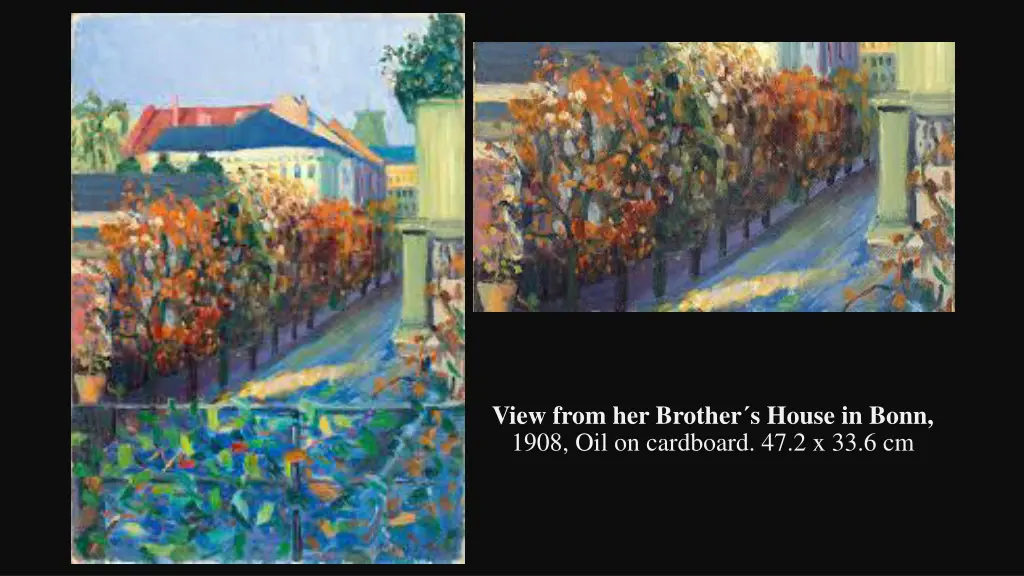 view from her brother s house in bonn 1908