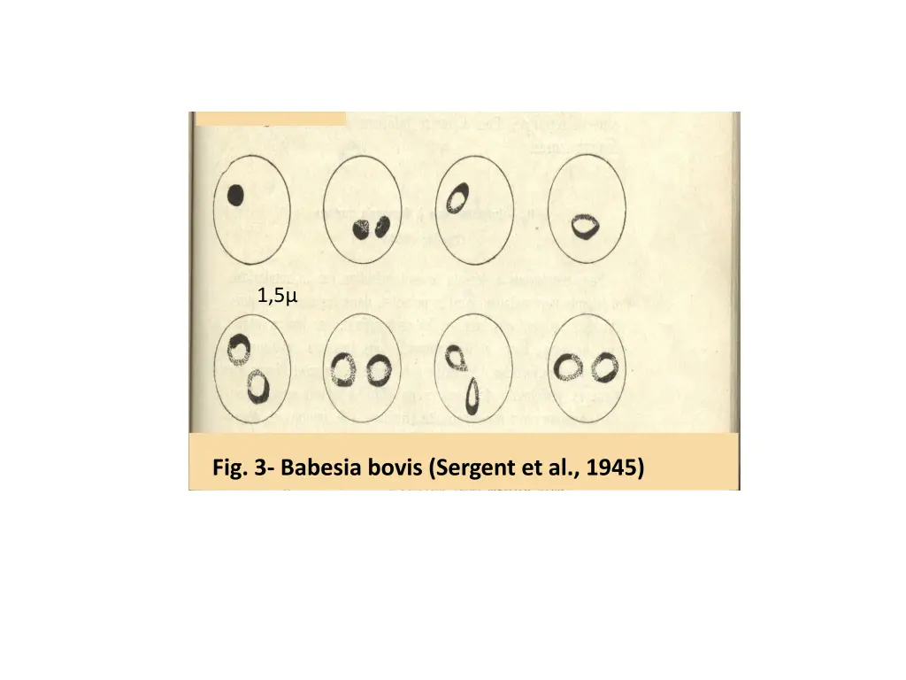 slide3