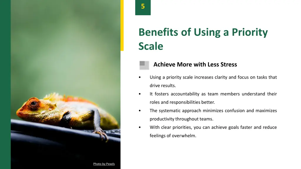 slide7