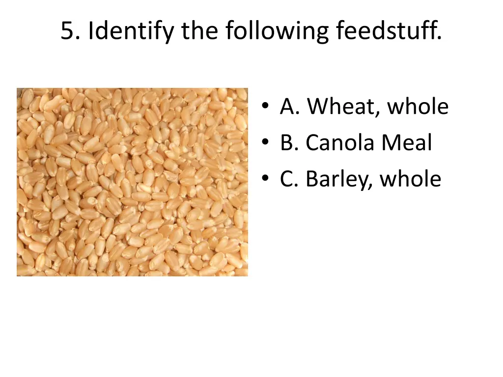 5 identify the following feedstuff