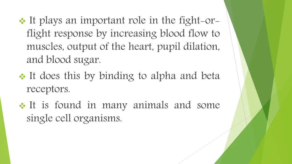 it plays an important role in the fight or flight