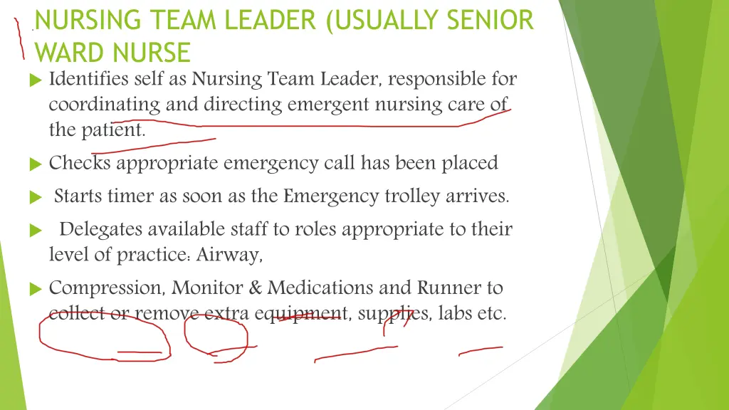 nursing team leader usually senior ward nurse