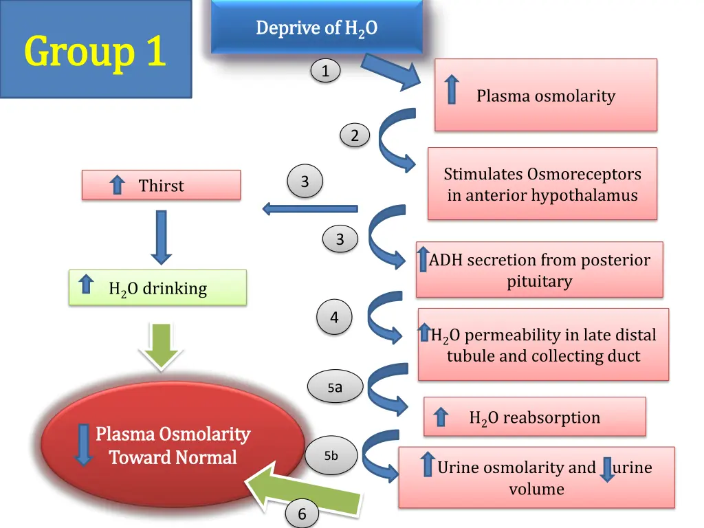 deprive of h deprive of h 2 2 o o