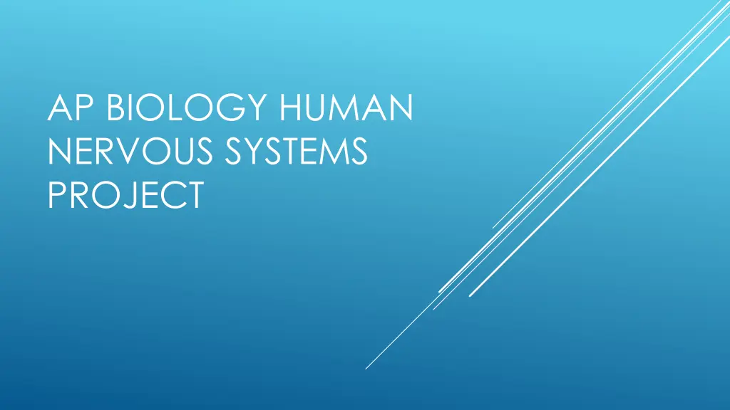 ap biology human nervous systems project