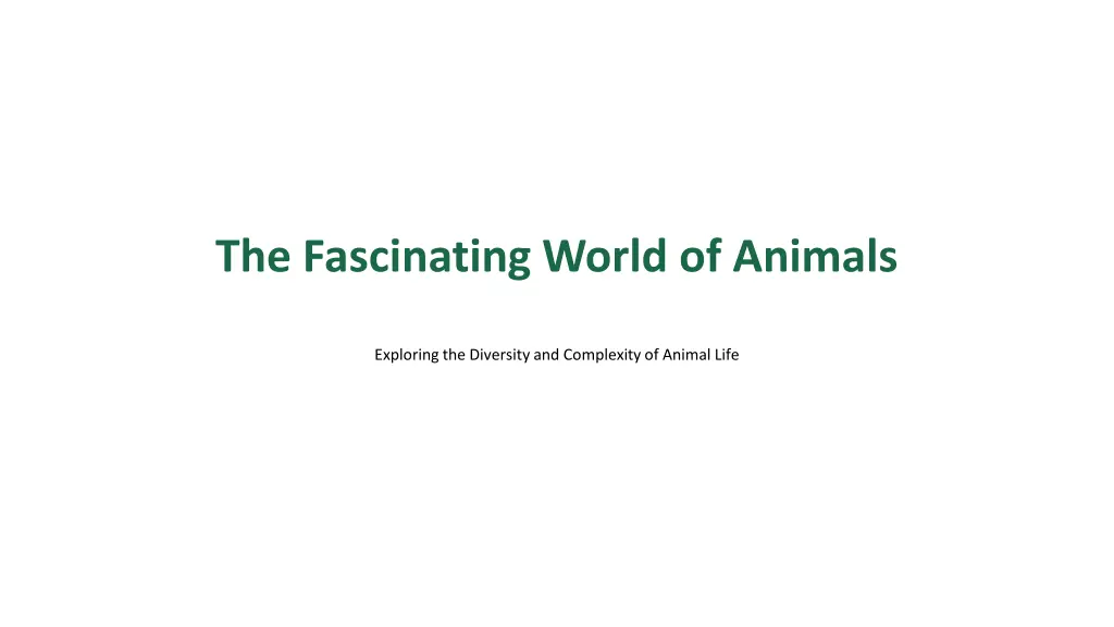 the fascinating world of animals