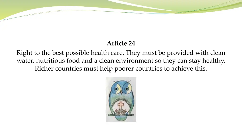 article 24