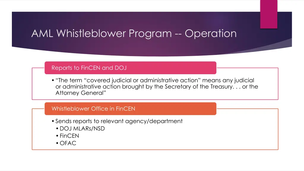 aml whistleblower program operation