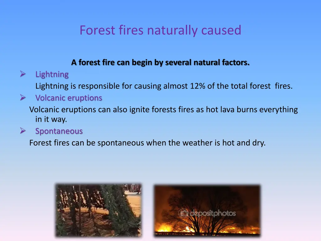 forest fires naturally caused
