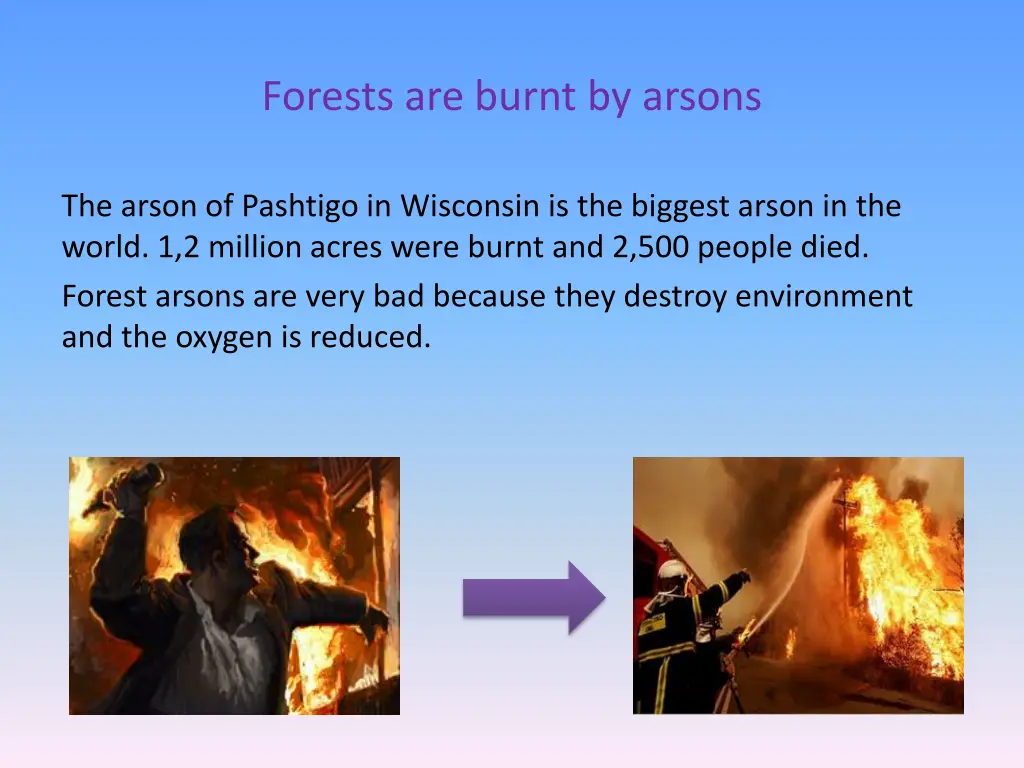 forests are burnt by arsons