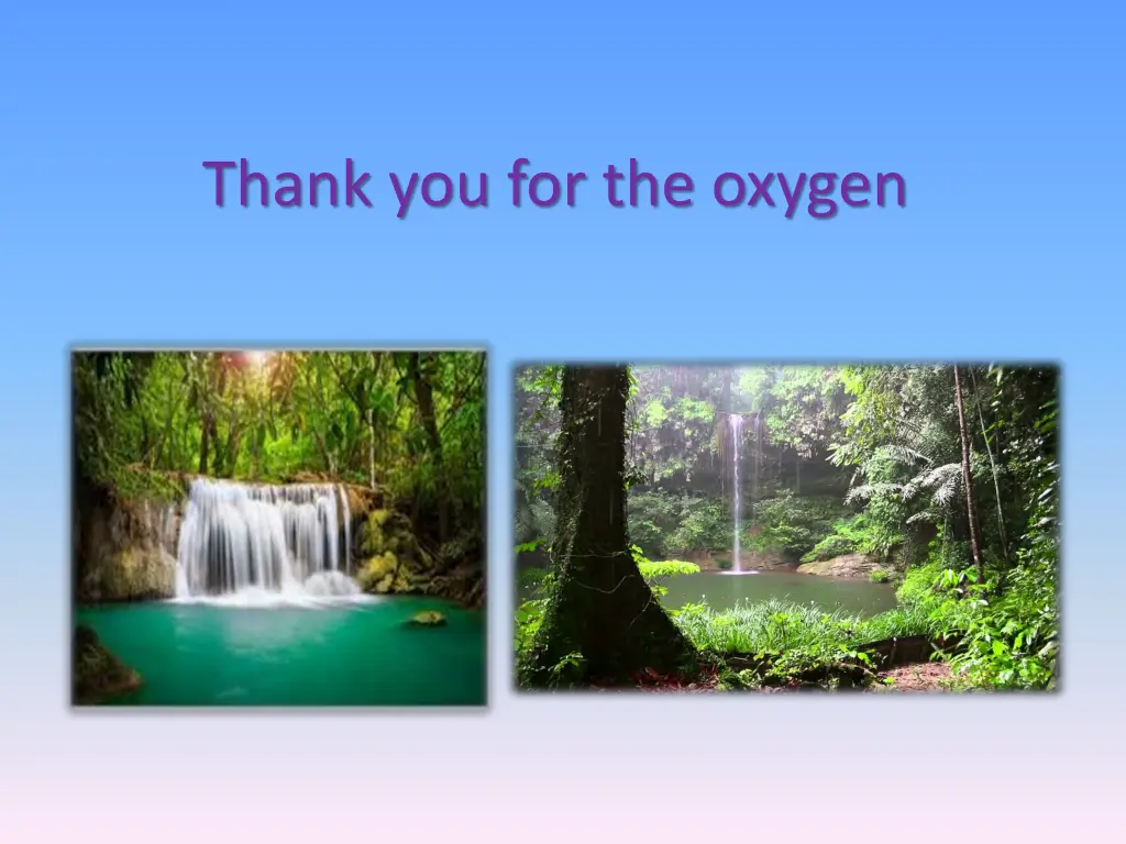 thank you for the oxygen