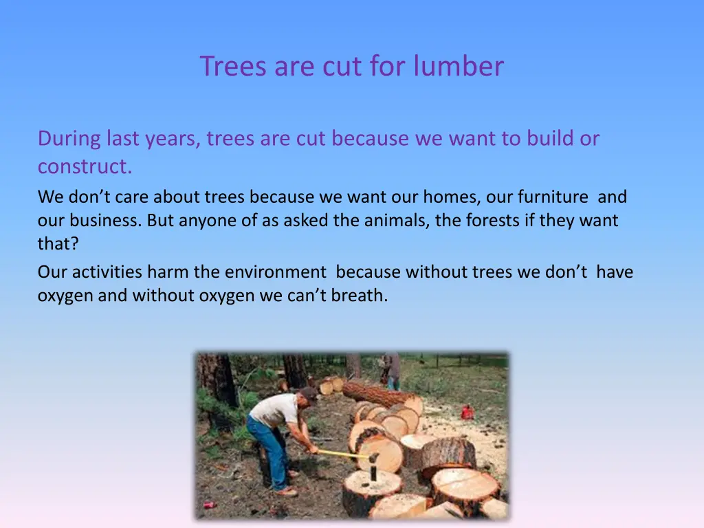 trees are cut for lumber