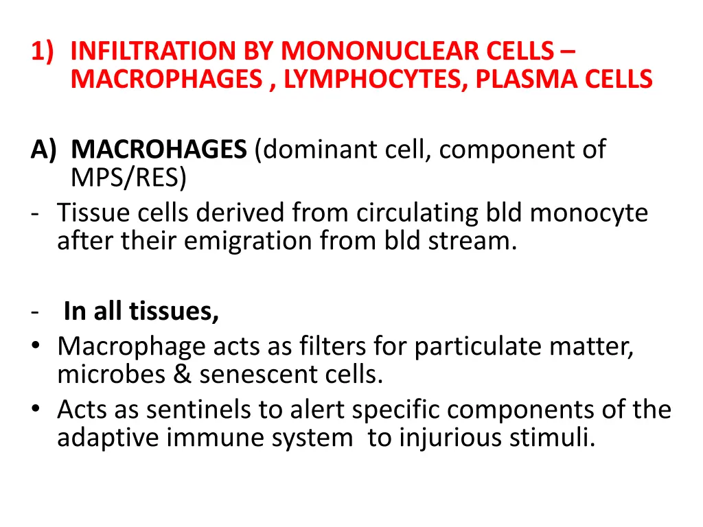 1 infiltration by mononuclear cells macrophages