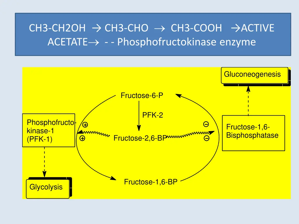 ch3 ch2oh ch3 cho ch3 cooh active acetate