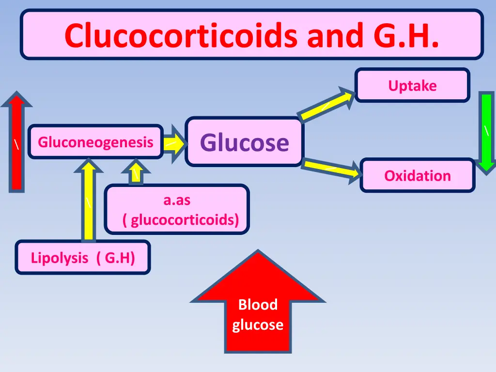 clucocorticoids and g h