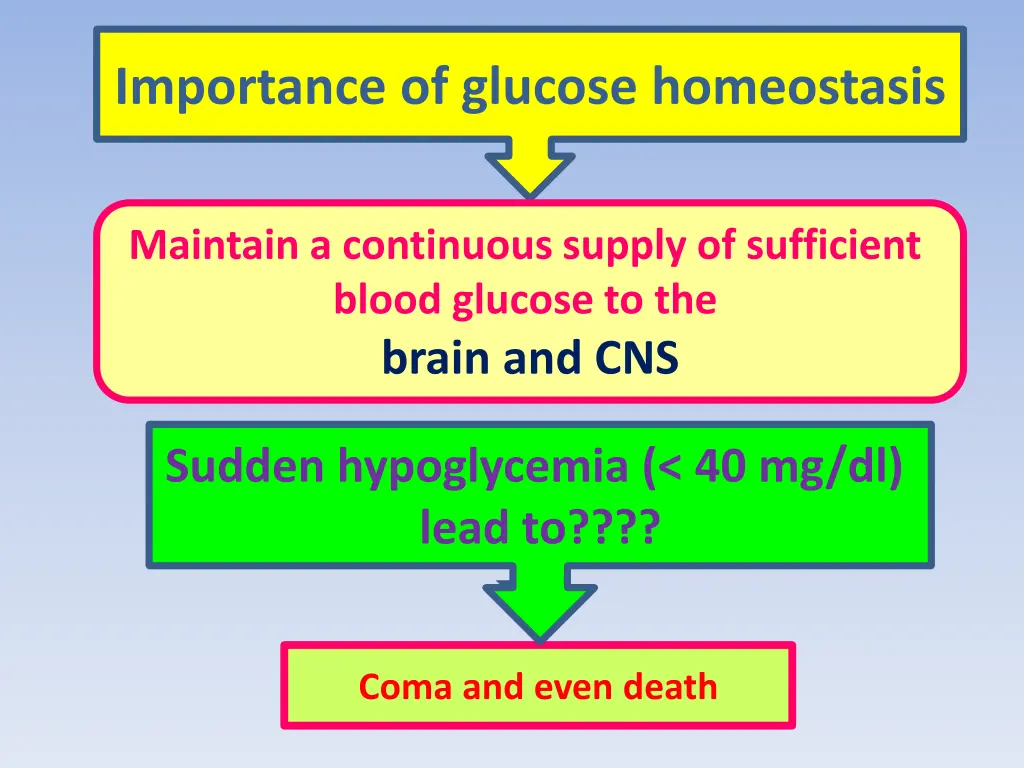 importance of glucose homeostasis