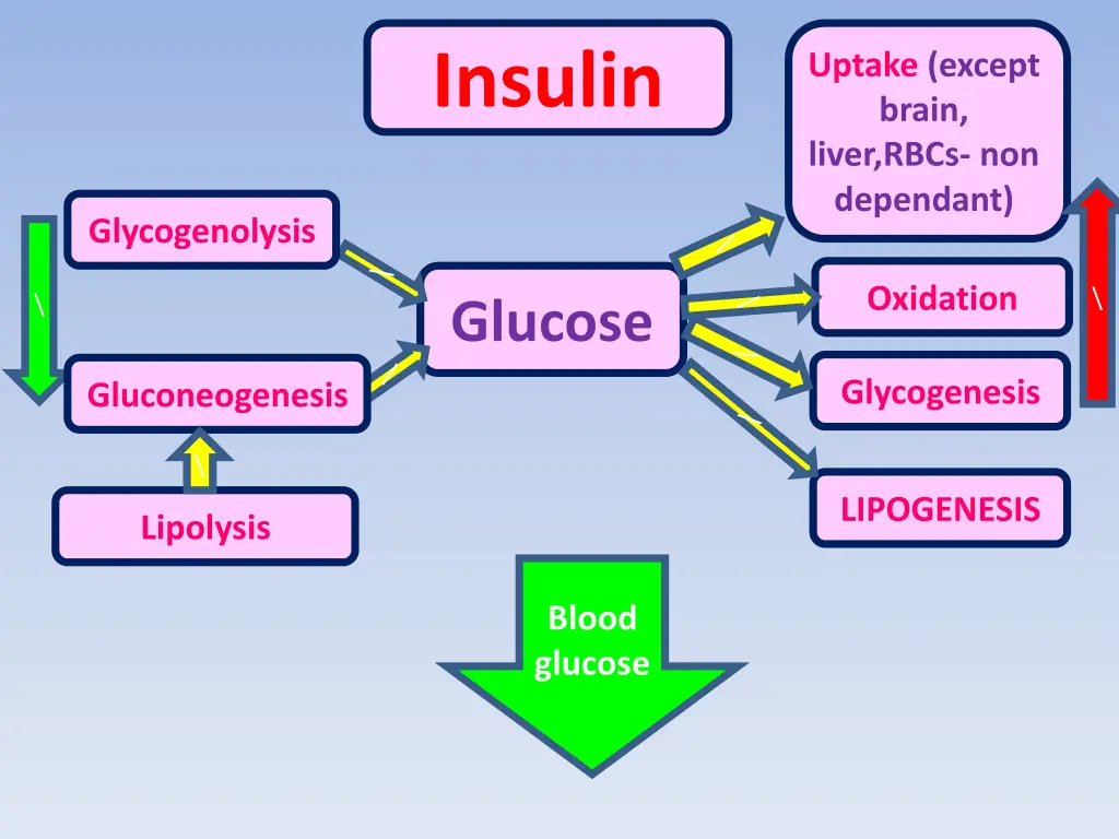 insulin