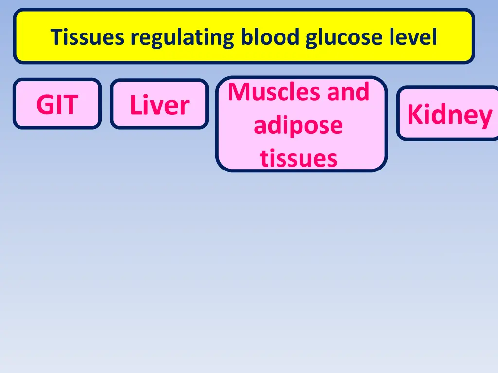 tissues regulating blood glucose level