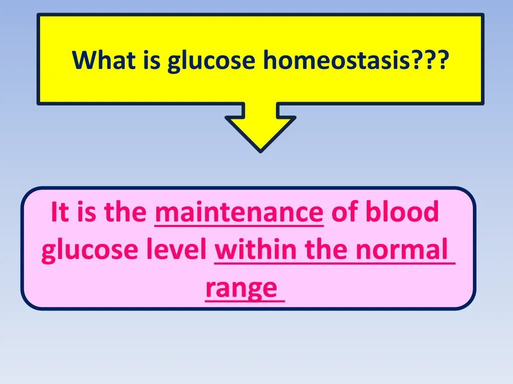 what is glucose homeostasis