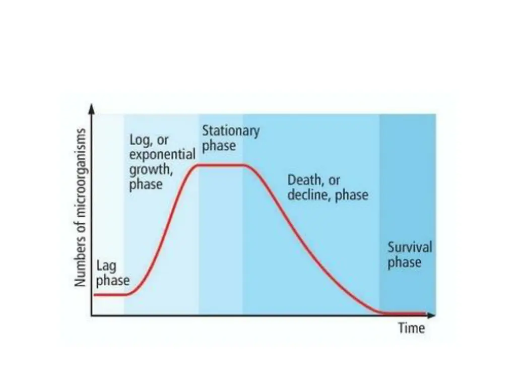 slide3