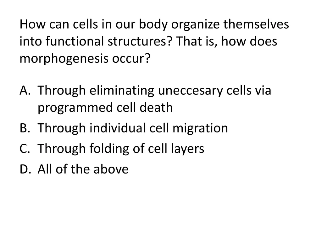 how can cells in our body organize themselves