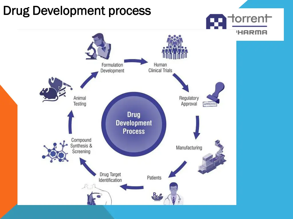 drug development process drug development process