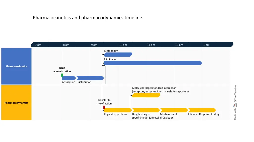 pharmacokinetics and pharmacodynamics timeline