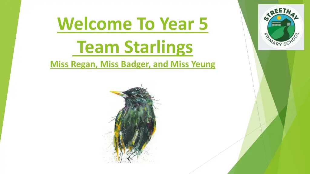 welcome to year 5 team starlings miss regan miss
