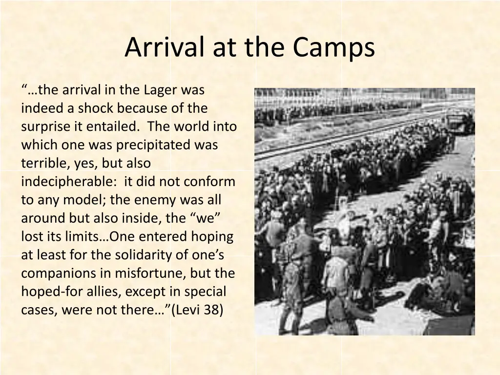 arrival at the camps