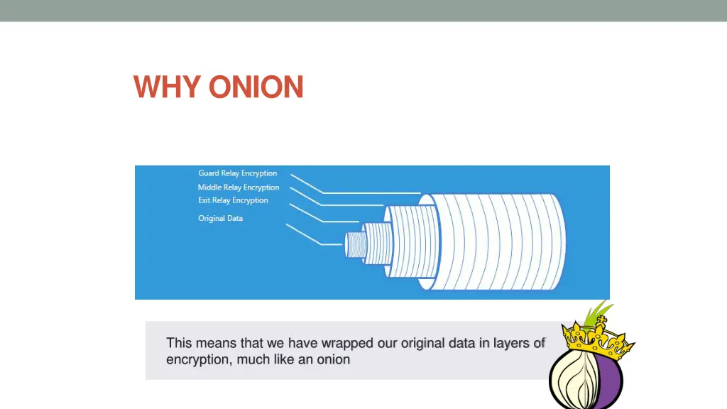 why onion 1