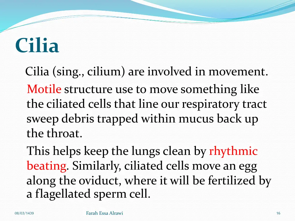 cilia