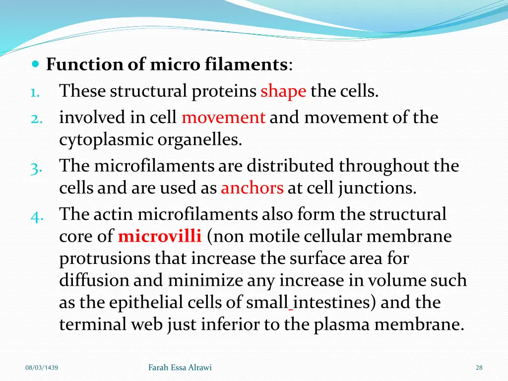 function of micro filaments these structural