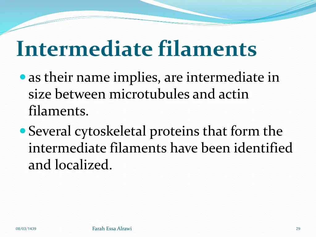 intermediate filaments