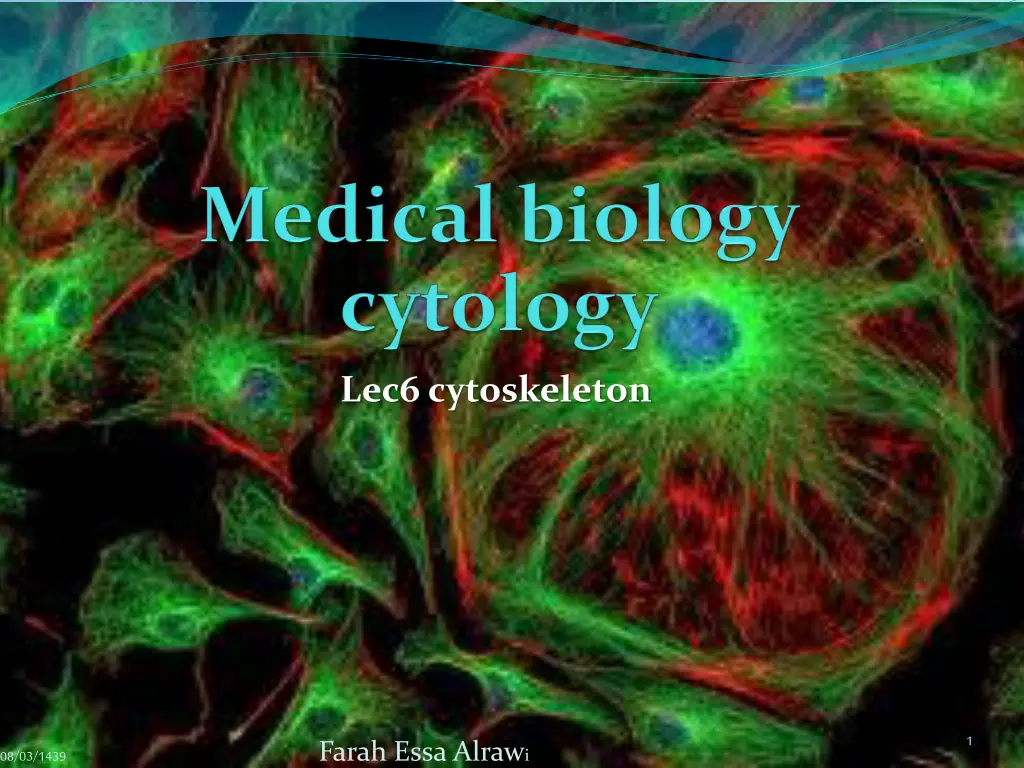 lec6 cytoskeleton