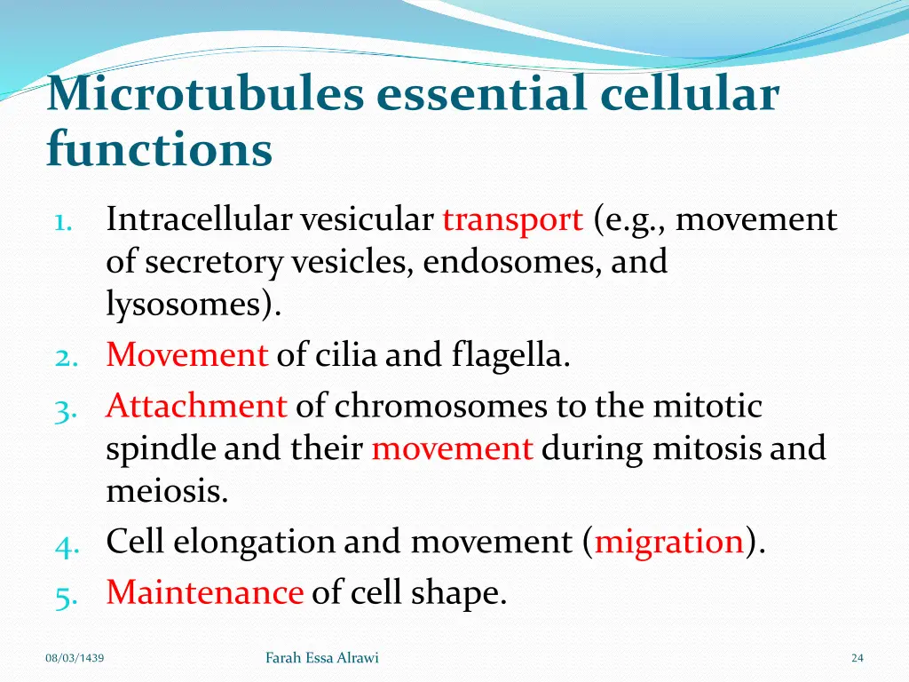 microtubules essential cellular functions