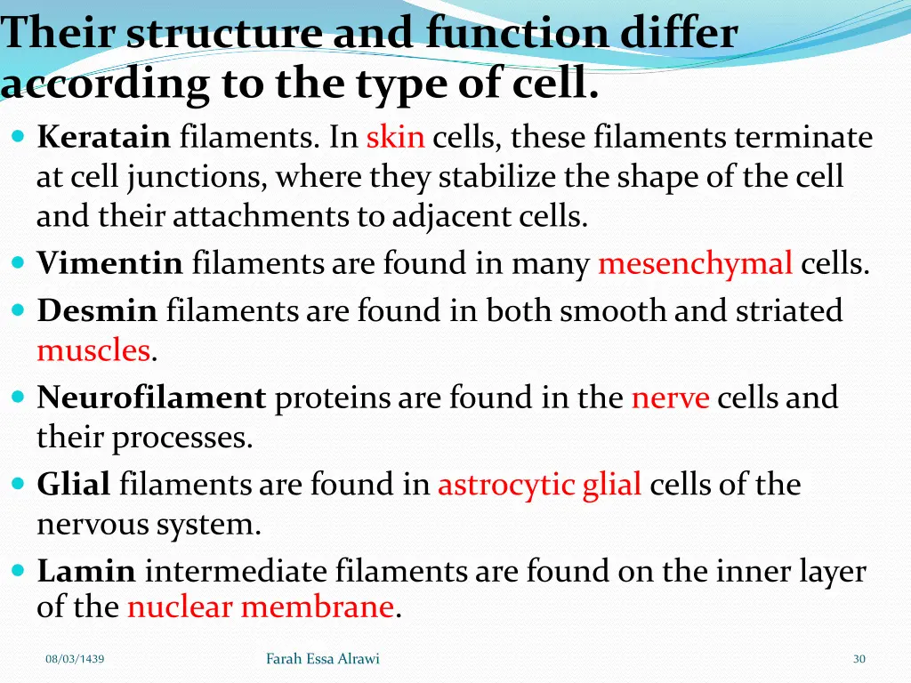 their structure and function differ according