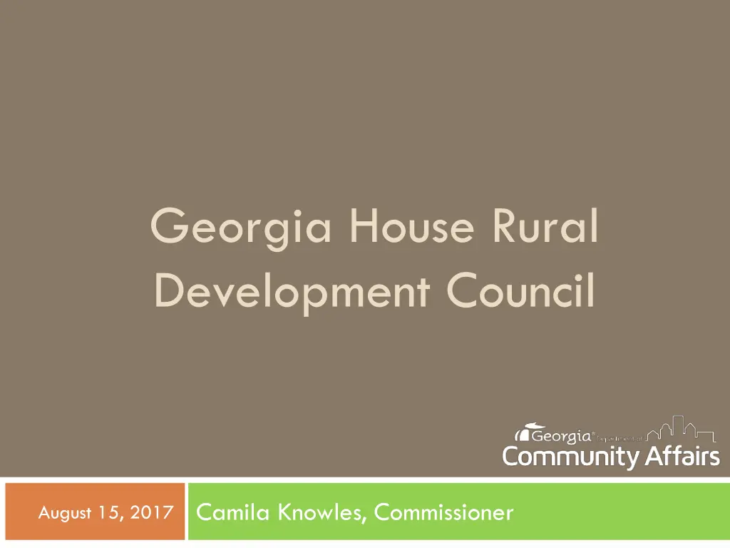 georgia house rural development council