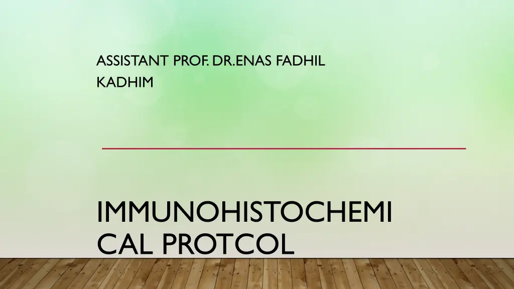 assistant prof dr enas fadhil kadhim