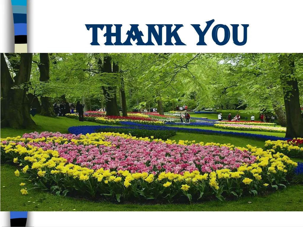 thank you thank you