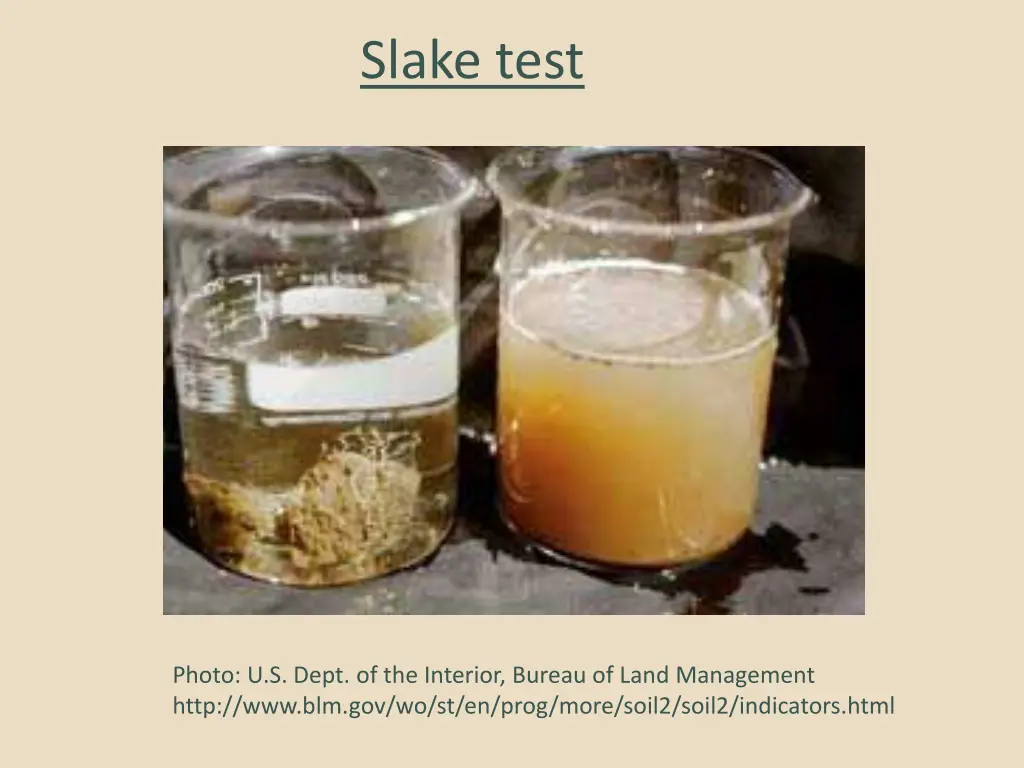 slake test