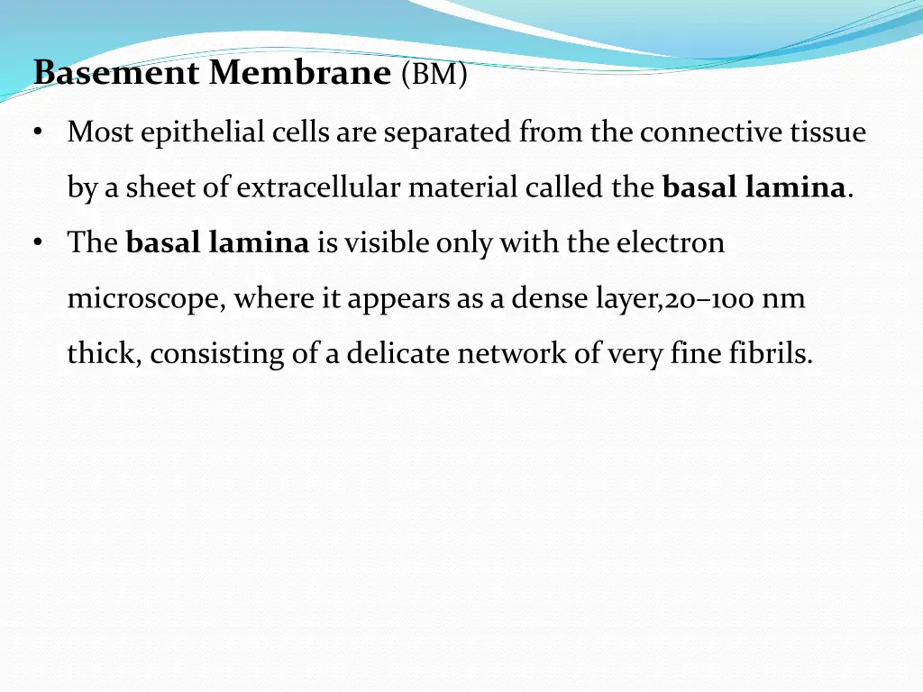 basement membrane bm