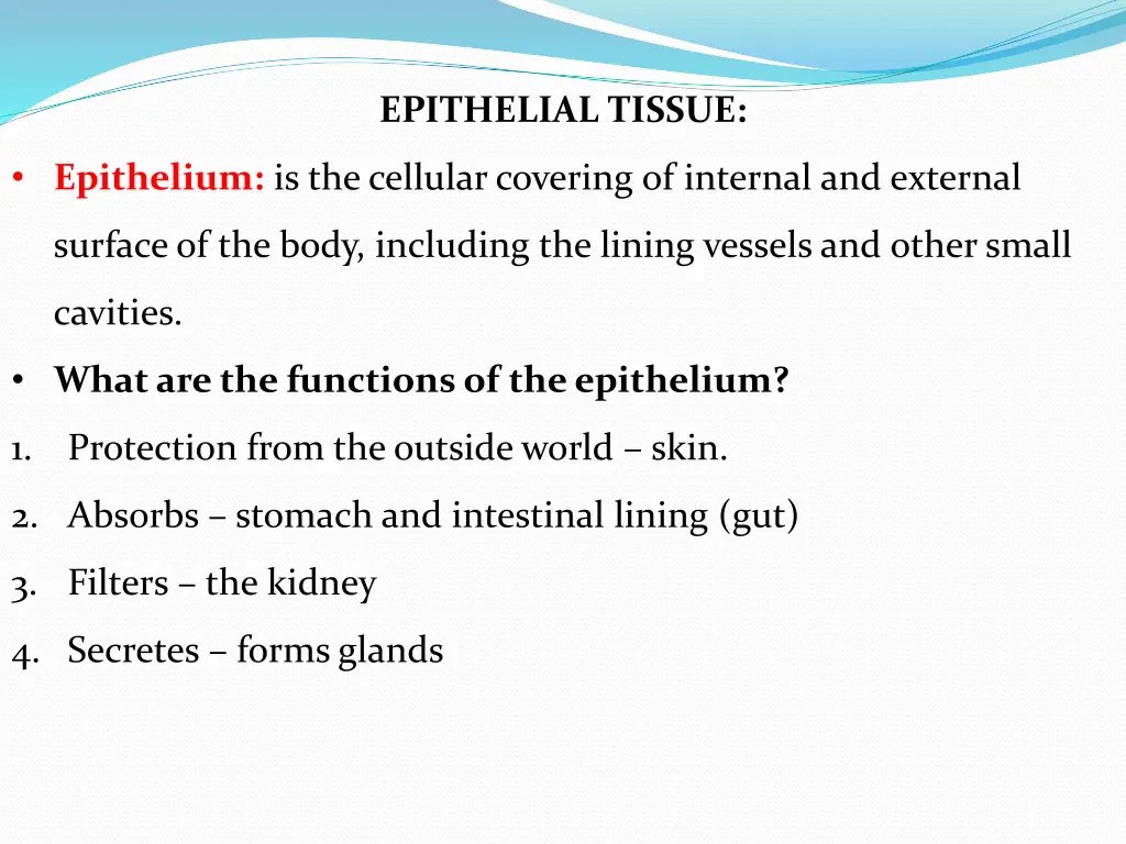 epithelial tissue