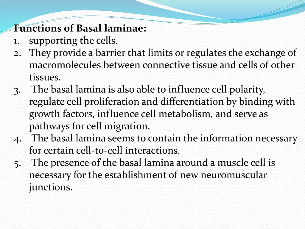 functions of basal laminae 1 supporting the cells