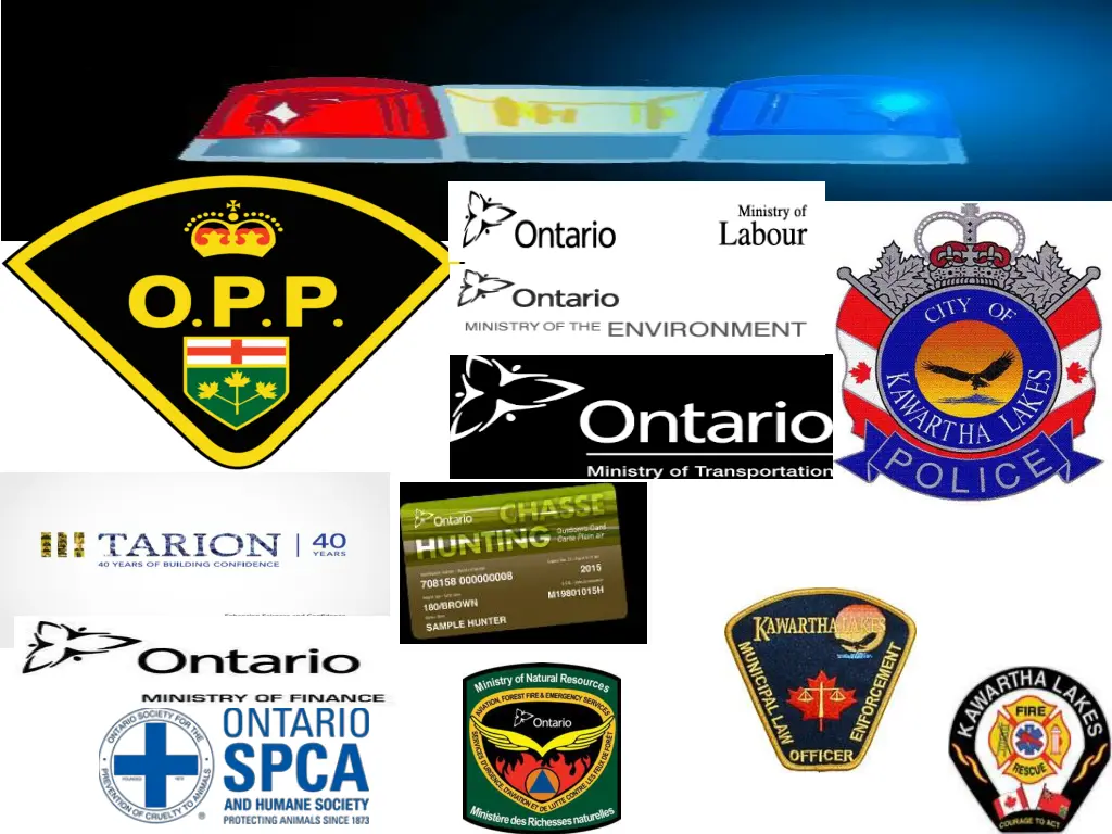 agencies