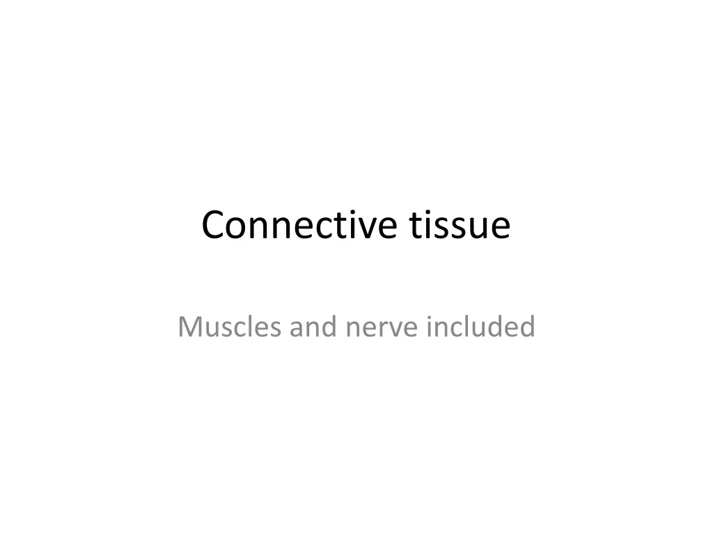 connective tissue