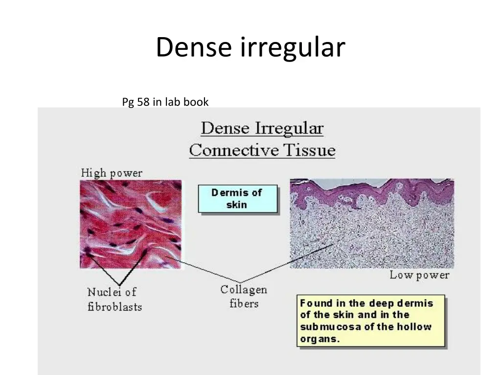 dense irregular