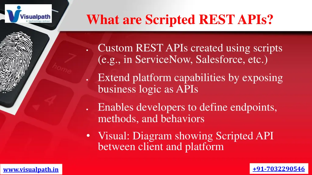what are scripted rest apis