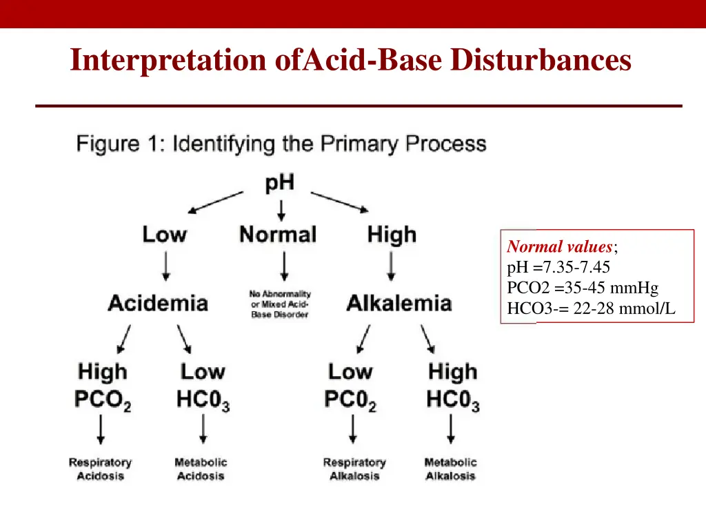 interpretation ofacid base disturbances