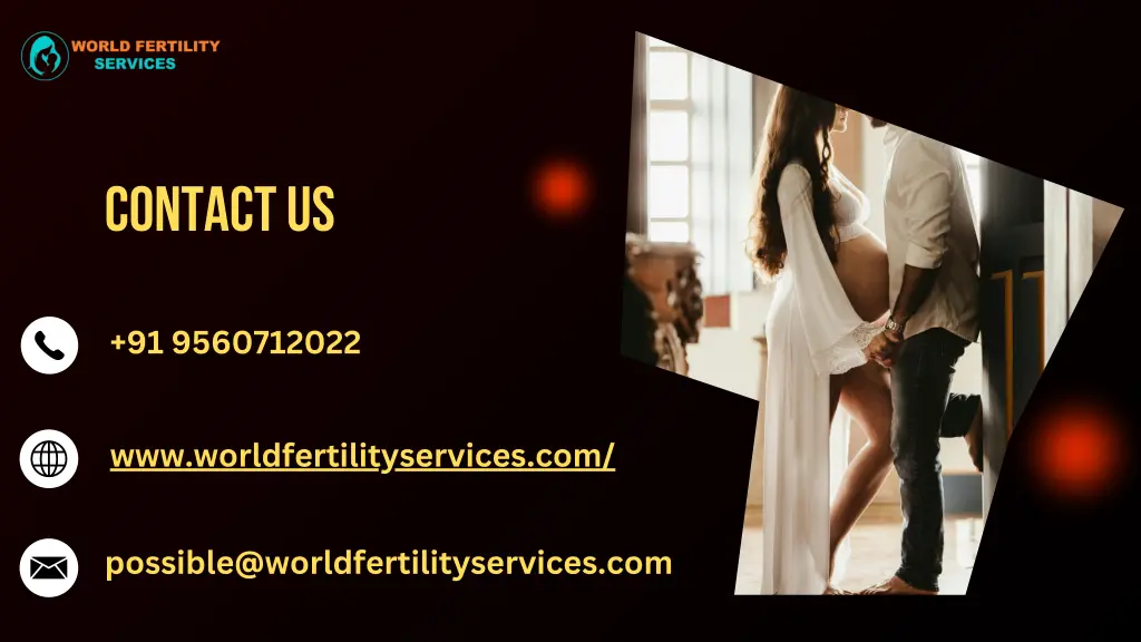 contact us