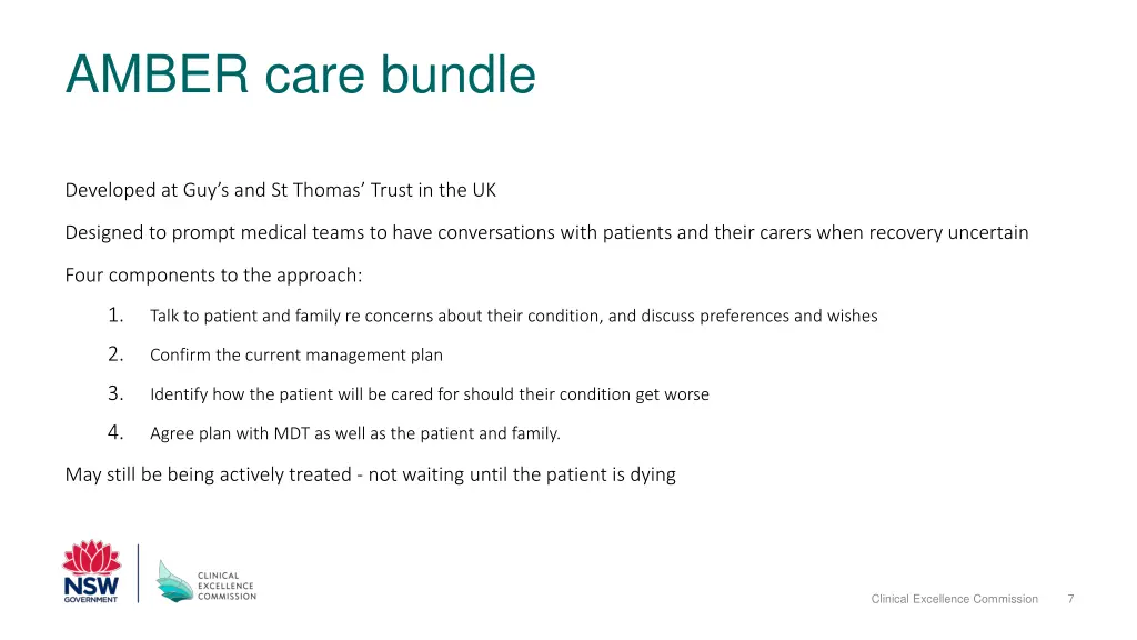 amber care bundle